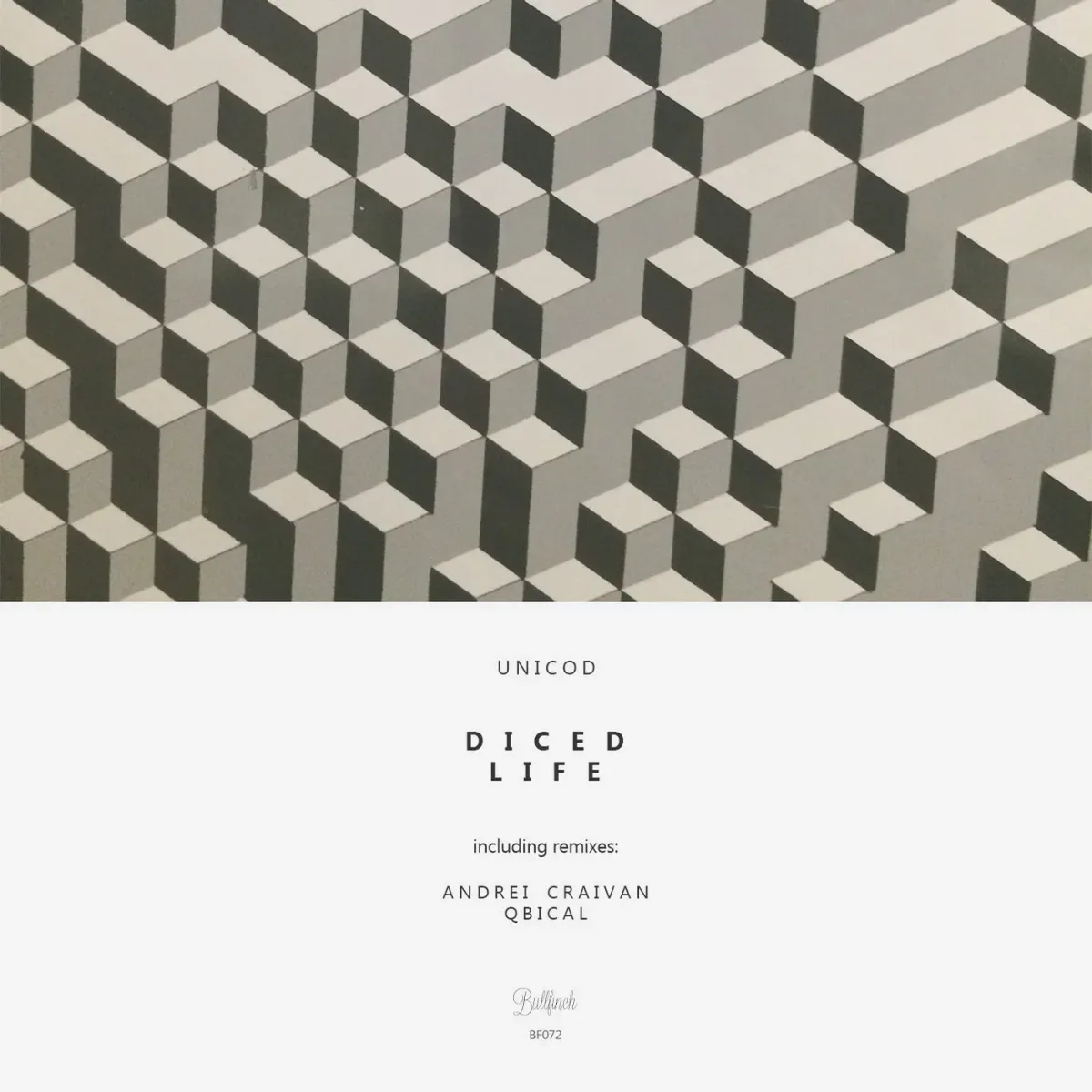 Artwork for Unicod's 'Diced Life'