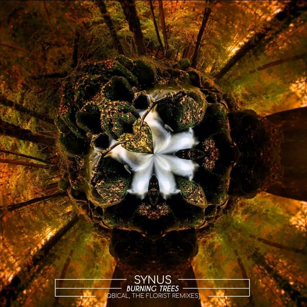 Artwork for 'sYnus - Burning Trees (Qbical Remix)'