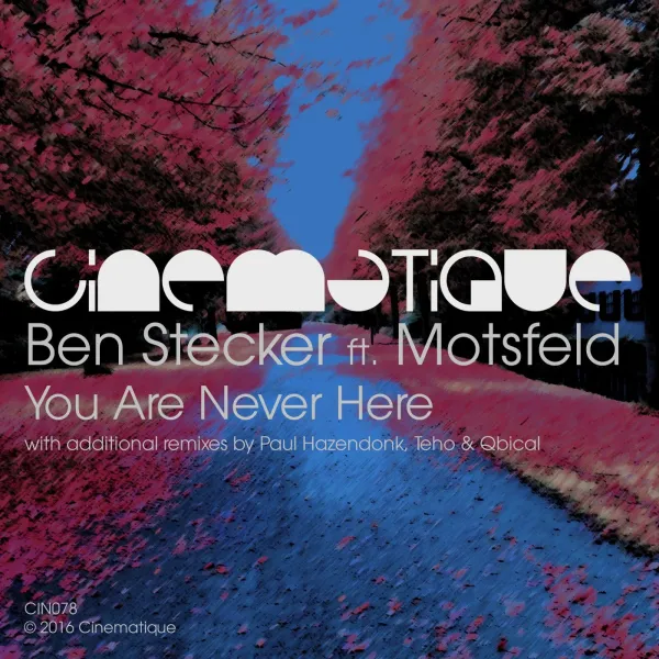 Cover art for Ben Steckers 'You Are Never Here'